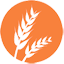 gluten