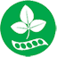 soja